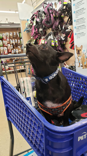 Shopping Mall «West Volusia Regional Shopping Center», reviews and photos, 2689 S Woodland Blvd, DeLand, FL 32720, USA