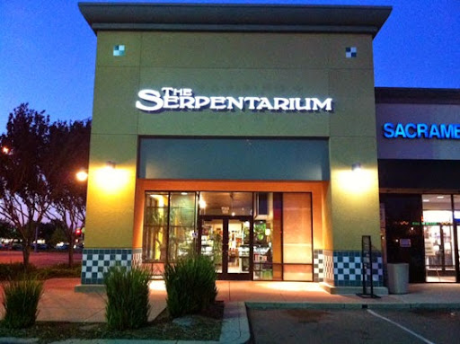 The Serpentarium