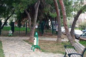 Maltepe Municipality Pet Playgrounds image