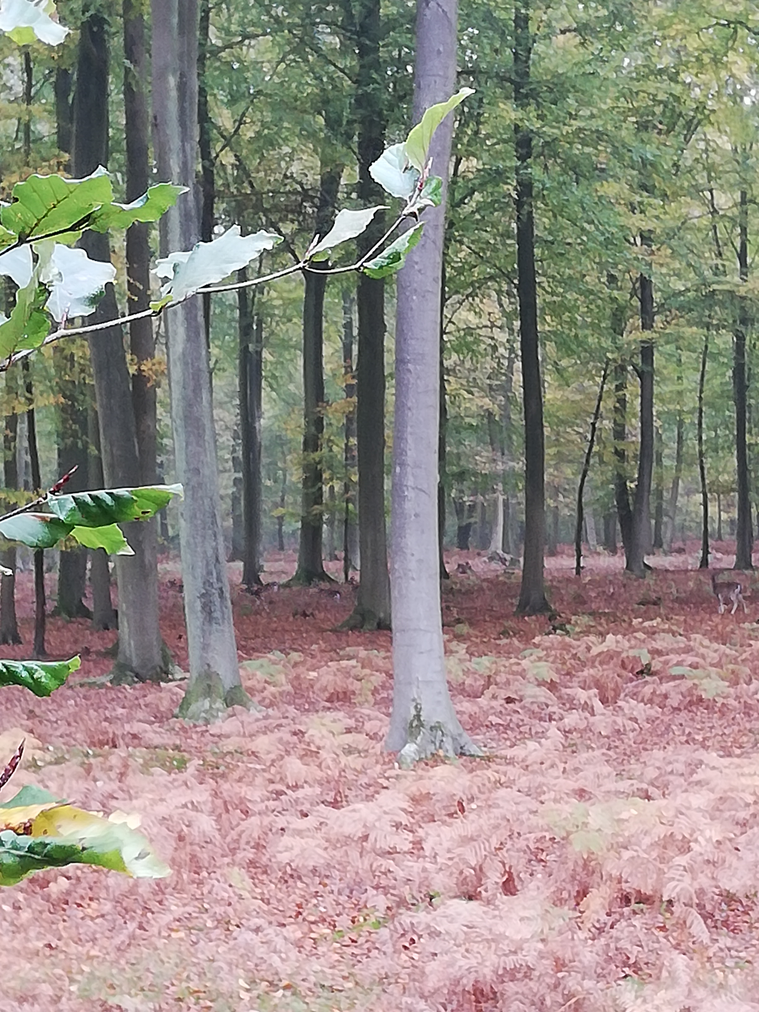 Photo n° 5 de l'avis de Marie.a fait le 09/03/2023 à 17:15