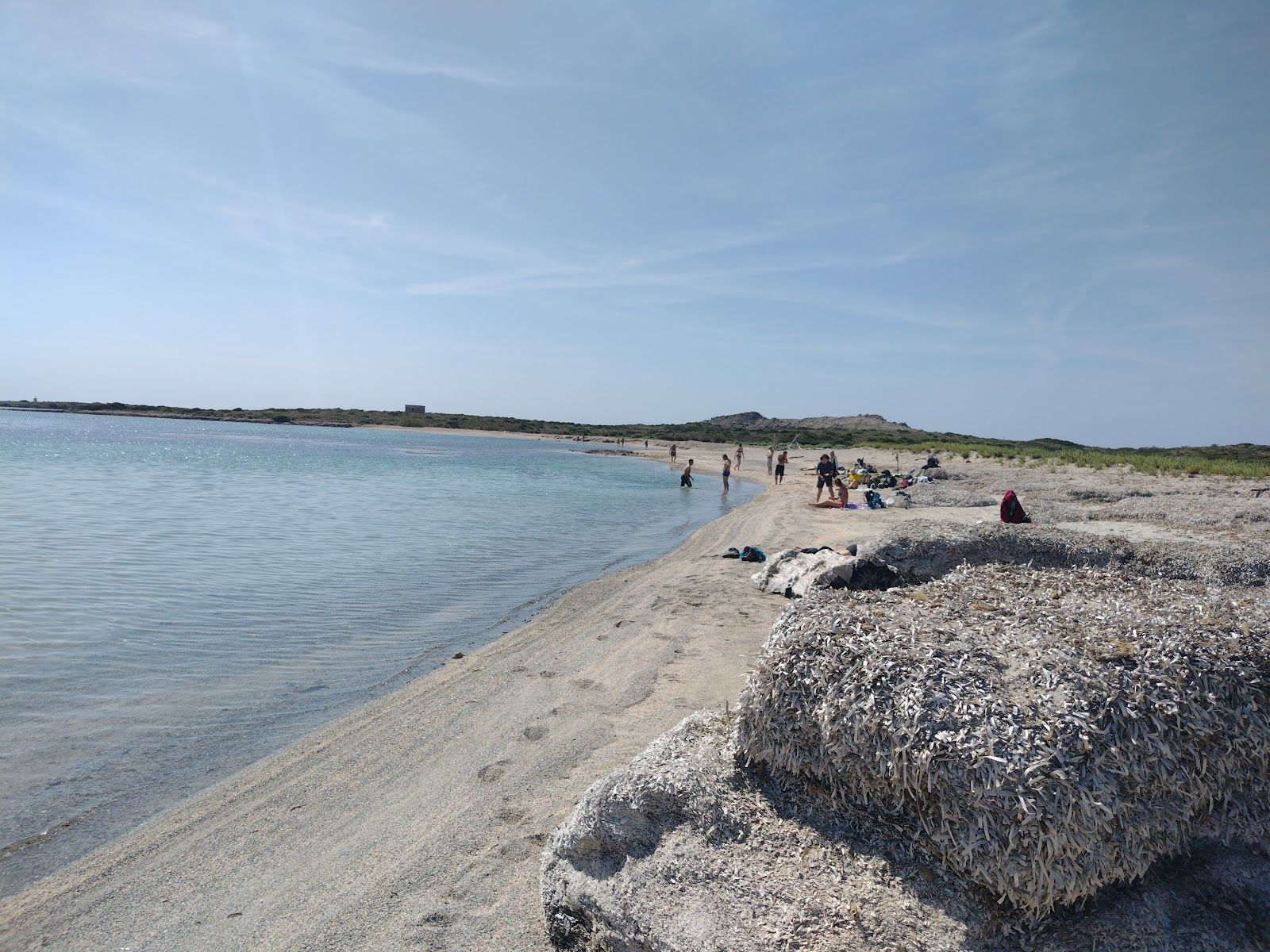 Foto van Spalmatore Beach in Asinara - populaire plek onder ontspanningskenners