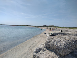 Spalmatore Beach in Asinara'in fotoğrafı - rahatlamayı sevenler arasında popüler bir yer