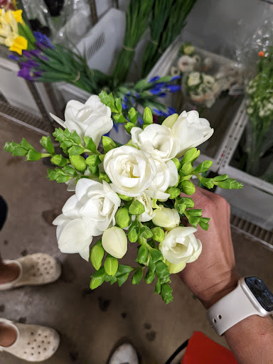 Florist «Botanica Wholesale Florist», reviews and photos, 3208 International Pl, Irving, TX 75062, USA