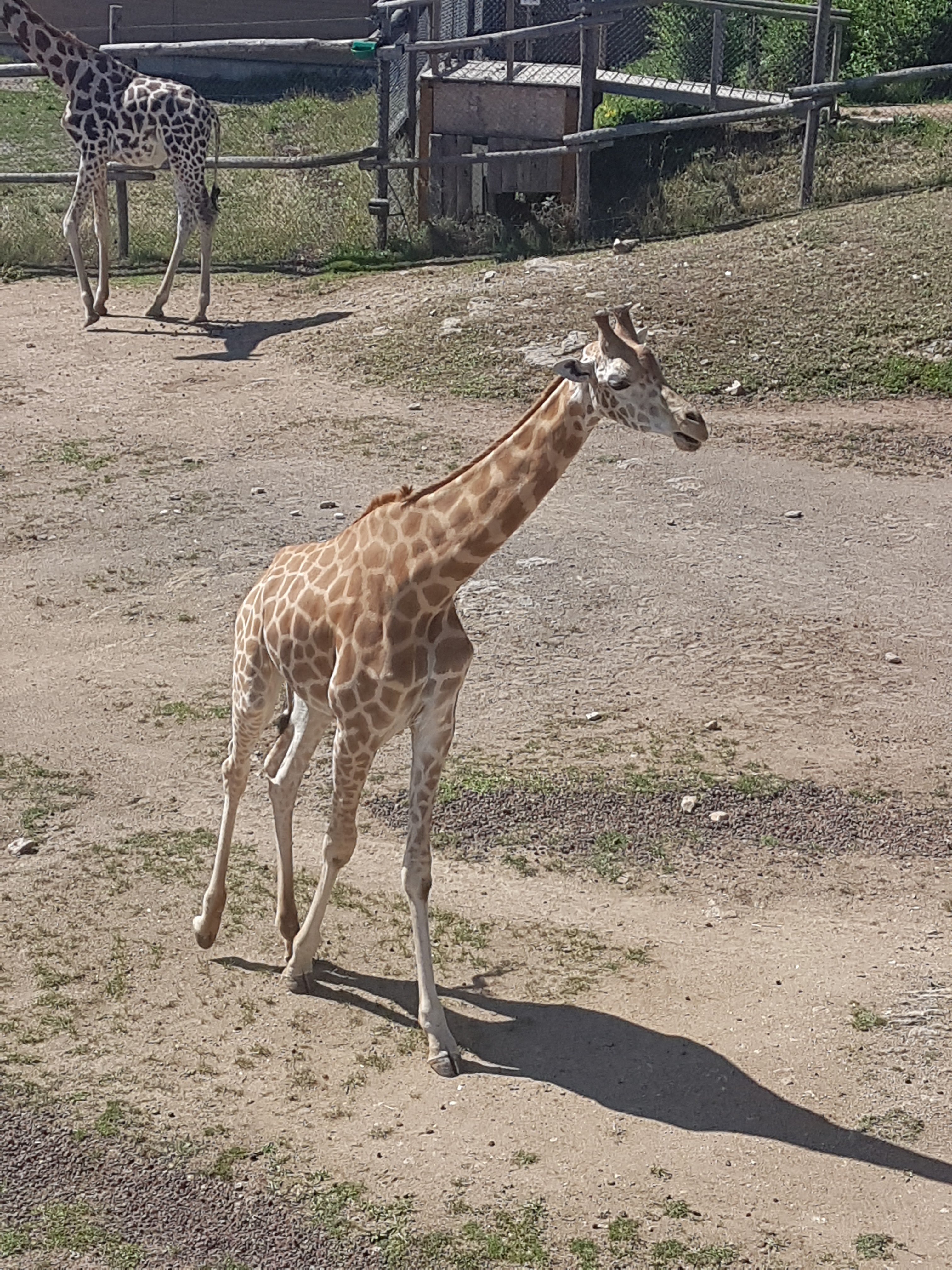 Photo n° 4 de l'avis de Myriam.o fait le 25/08/2019 à 11:46