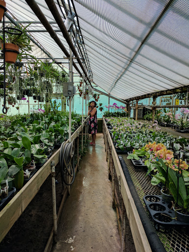 Florist «Little Brook Orchids», reviews and photos, 25 Rider Ave, Lancaster, PA 17603, USA