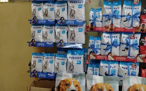 The city pet shop | Best pet Shop in Nikol | Best Pet trainer in Ahmedabad image