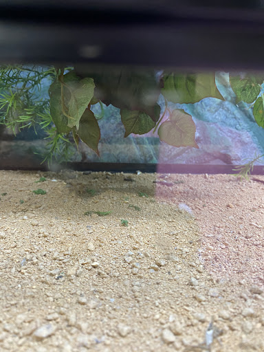 Pet Supply Store «Coastline Pet Supply», reviews and photos, 3530 Northgate Dr, Myrtle Beach, SC 29588, USA