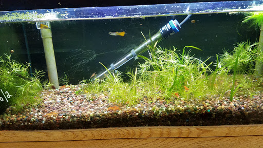 Tropical Fish Store «Ocean Design Aquarium», reviews and photos, 7542 W Addison St, Chicago, IL 60634, USA