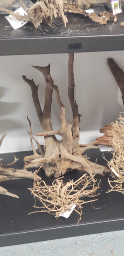 Pet Store «Laconia Pet Center», reviews and photos, 1343 Union Ave, Laconia, NH 03246, USA