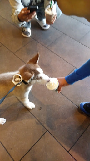 Starbucks image