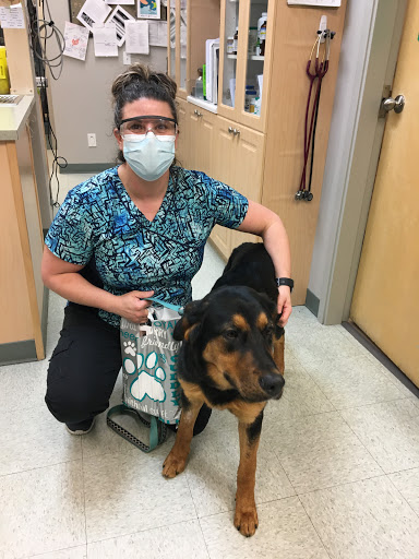 Foothills Animal Hospital image