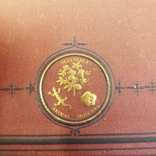 Book Store «Barnes & Noble», reviews and photos, 2540 Futura Park Way, Plainfield, IN 46168, USA