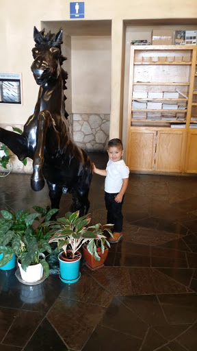 Building Materials Store «Silverado Building Materials», reviews and photos, 9297 Jackson Rd, Sacramento, CA 95826, USA