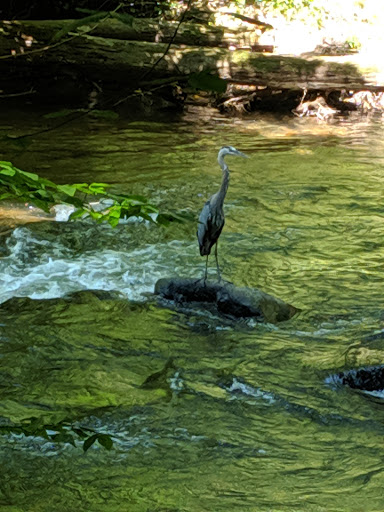 Nature Preserve «White Clay Creek Preserve», reviews and photos, 404 Sharpless Rd, Landenberg, PA 19350, USA