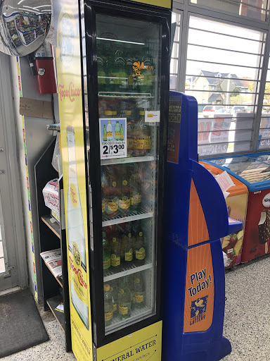 Convenience Store «Hollywood Food Store», reviews and photos, 2003 W Alabama St, Houston, TX 77098, USA