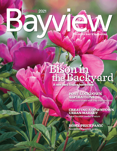Bayview Magazine