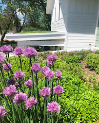 Ozark Green Roofs - Photo 4 - Car repair in Fayetteville, AR, Fayetteville