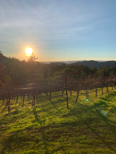 Winery «Burrell School Vineyards», reviews and photos, 24060 Summit Rd, Los Gatos, CA 95033, USA