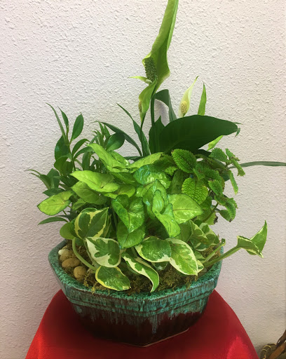 Florist «Forever Flowers», reviews and photos, 16728 E Smoky Hill Rd #11g, Centennial, CO 80015, USA