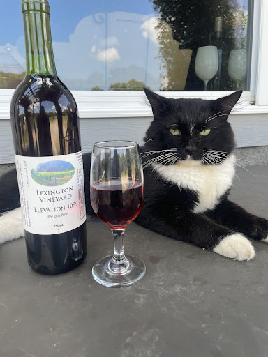 Vineyard «Lexington Vineyard», reviews and photos, 2000 Dog Hollow Rd, Lynnville, TN 38472, USA