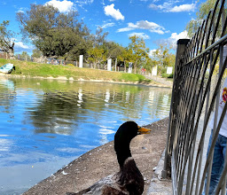 Metropolitano de Guadalajara Park photo