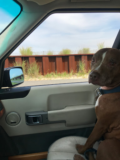 Transmission Shop «Wholesale Transmissions and Auto Repair», reviews and photos, 668 King Georges Post Rd, Fords, NJ 08863, USA