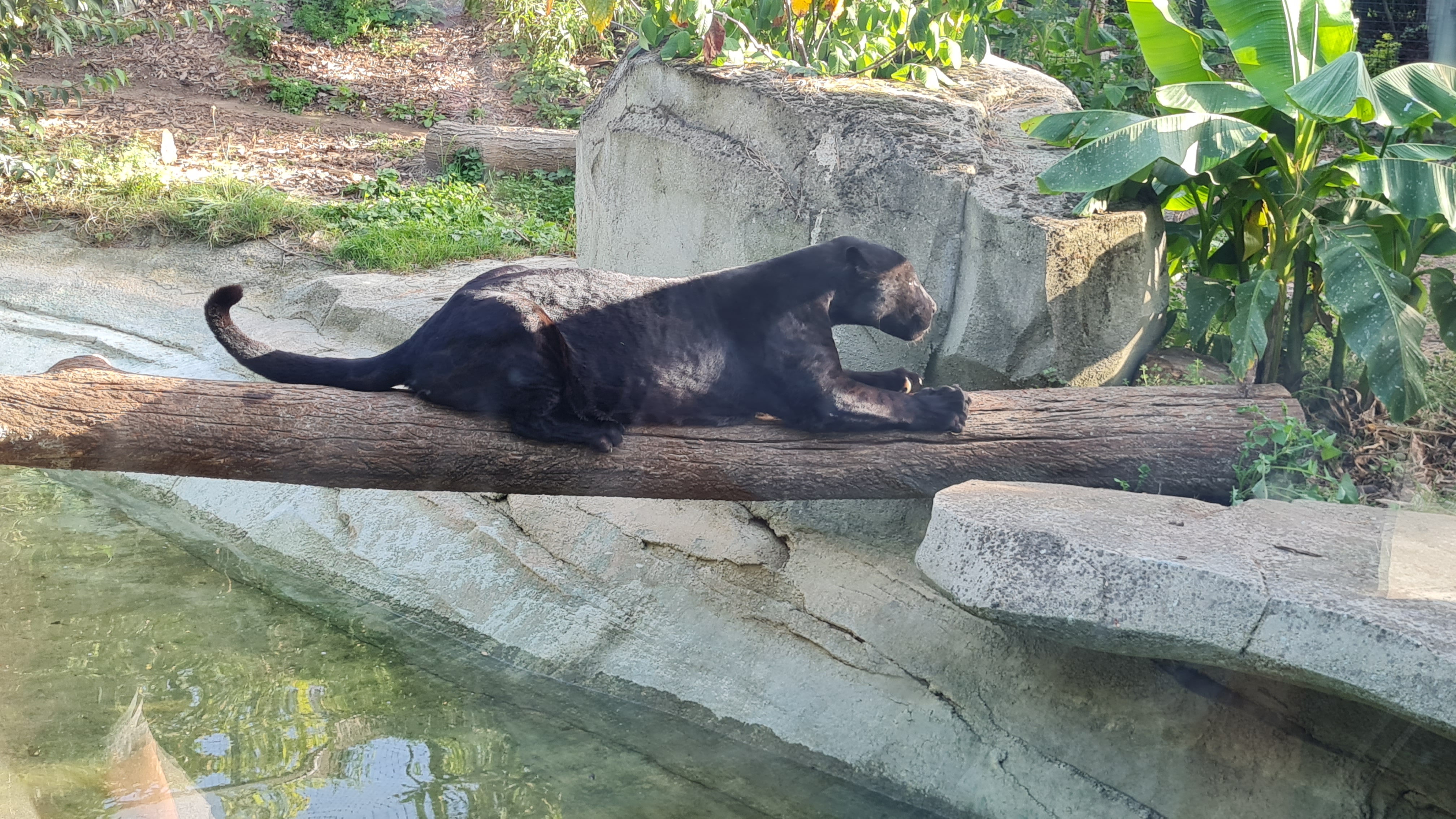 Photo n° 10 de l'avis de Thierry.u fait le 14/10/2023 à 18:57