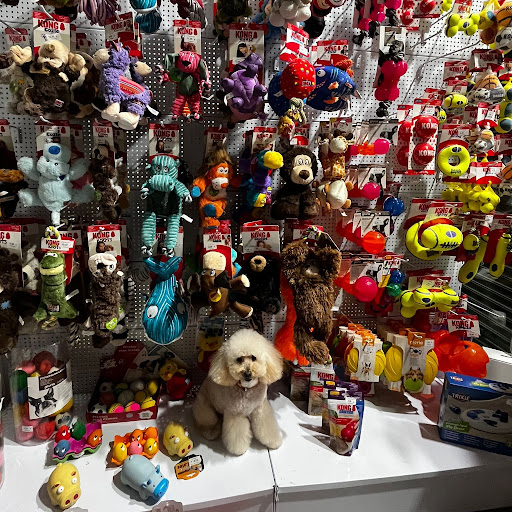 MOISES Acuarios & Mascotas - Pontevedra