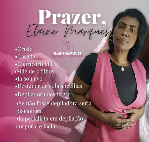 Logo da empresa - Laine Depil