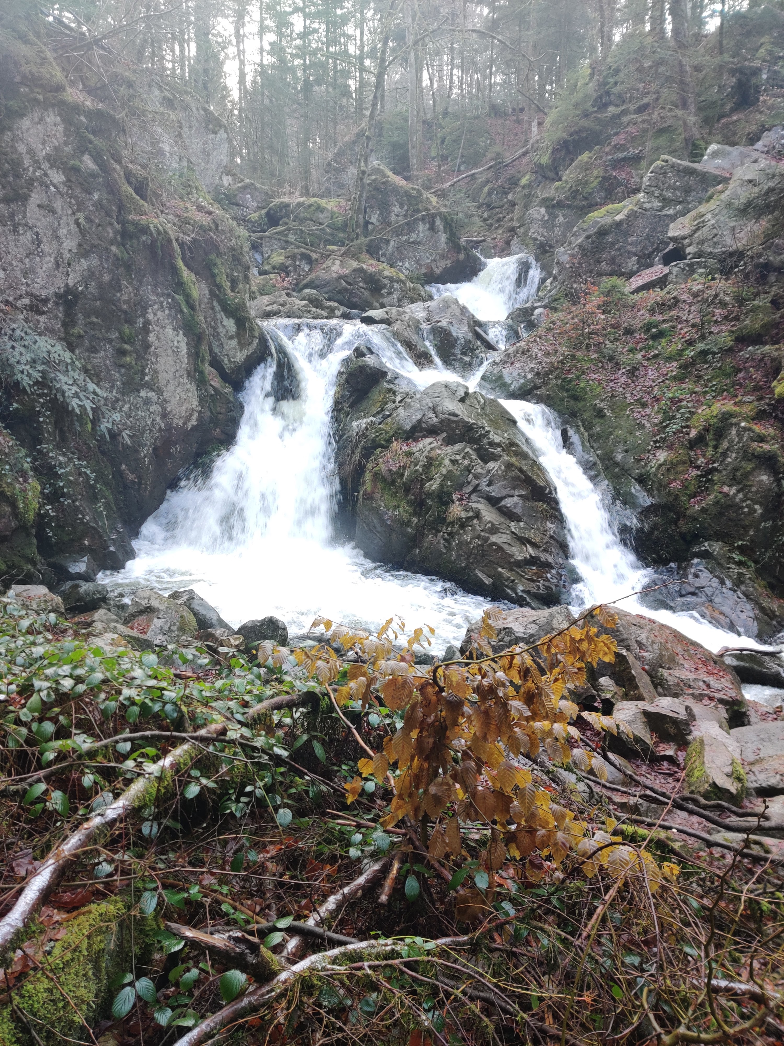 Photo n° 1 de l'avis de Pouz.a fait le 16/02/2020 à 12:31