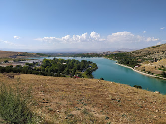 Müsiad Malatya Hatıra Ormanı