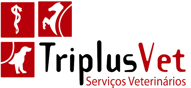 Triplusvet Clínica Veterinária - Veterinário