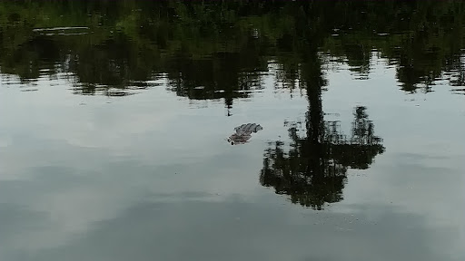 Park «Boca Ciega Millennium Park», reviews and photos, 12410 74th Ave N, Seminole, FL 33772, USA