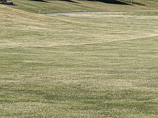 Golf Club «Meadow Valley Golf Club», reviews and photos, 57600 IN-13, Middlebury, IN 46540, USA