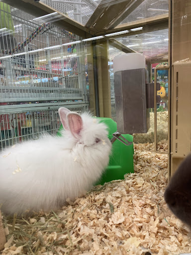 Pet Supply Store «Pet Supermarket», reviews and photos, 3821 S Cobb Dr, Smyrna, GA 30080, USA