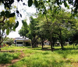 Bedilan photo