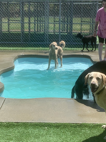 White Knoll Pet Resort, Day Spa and Aquatic Center