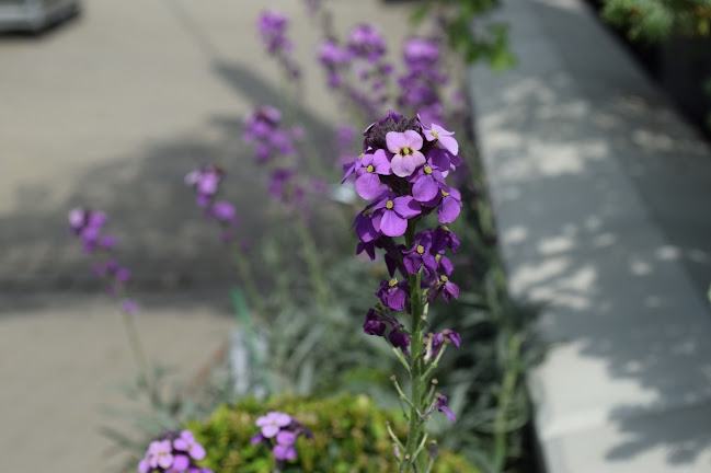 Zahrada Flora telefonní číslo
