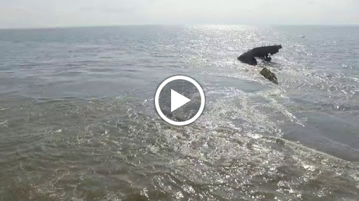 Historical Landmark «Wreck of the SS Atlantus», reviews and photos, Sunset Blvd, Cape May, NJ 08204, USA