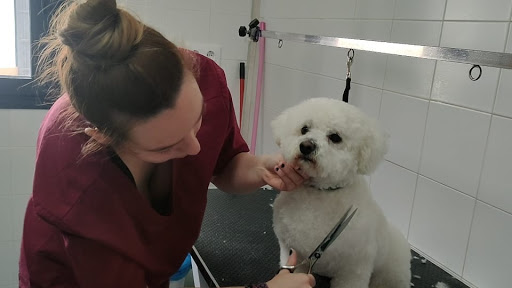 Peluquería Canina Santa Cruz Veterinarios en Santa Cruz de Mudela