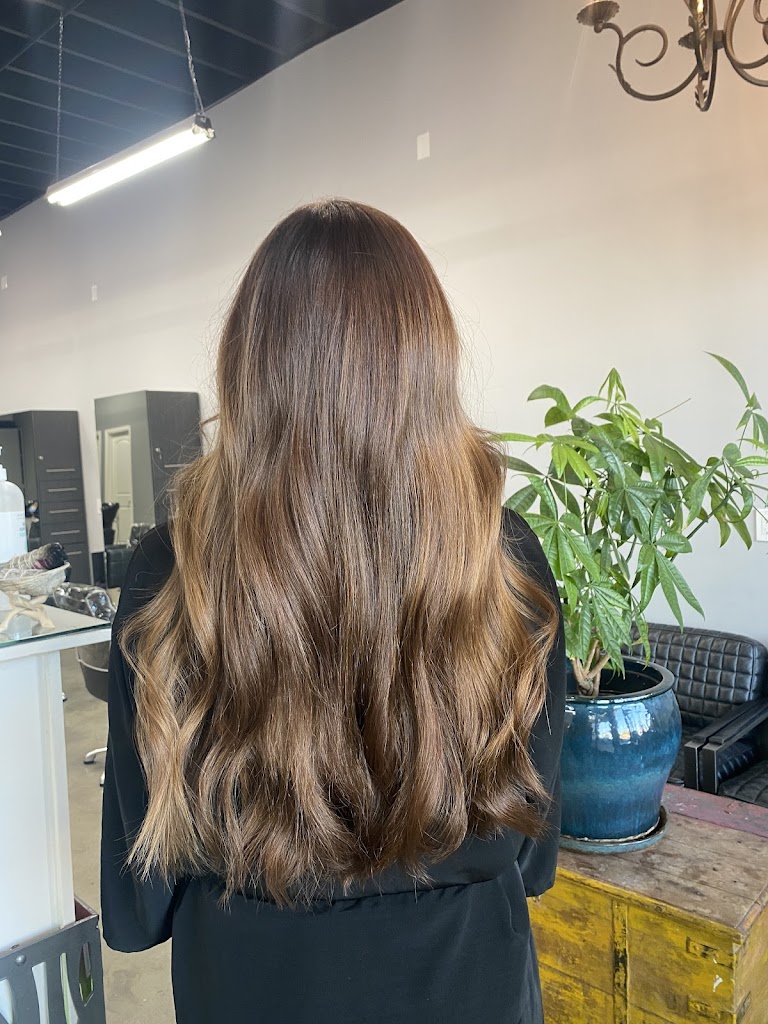 iColorHair 91505