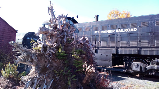 Tourist Attraction «Museum and Event Grounds for Mt. Rainier Railroad and Logging Museum», reviews and photos, 349 Mineral Creek Rd S, Mineral, WA 98355, USA