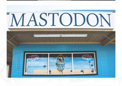 Explore florida gator tattoo ideas, creative tattoo ideas in Scottsdale, available at Mastodon Professional Body Piercing