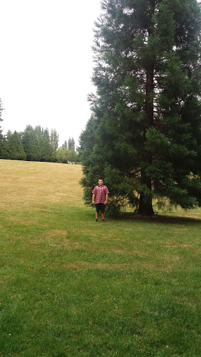 Park «Mark Twain Park», reviews and photos, 10625 132nd Ave NE, Kirkland, WA 98033, USA
