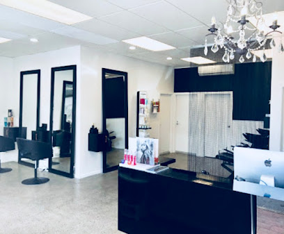 Dana Andraws Hair design