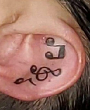 Explore small rose tattoo ideas, creative tattoo ideas in Indianapolis, available at Revved Up Tattoos
