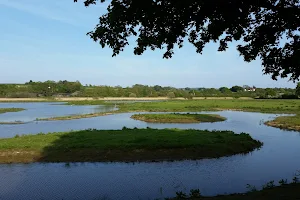 RSPB Bowling Green Marsh image