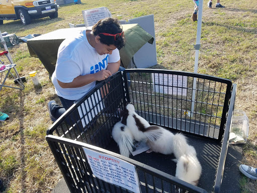 Title Company «Nationwide Title Clearing», reviews and photos