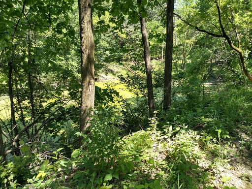 Nature Preserve «Forest Glen Woods», reviews and photos, 5420 N Forest Glen Ave, Chicago, IL 60630, USA