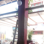 Photo n°2 de l'avis de Guido.o fait le 09/07/2020 à 10:52 sur le  Osteria dell'Olmo da Edo & Manu à Olmeneta